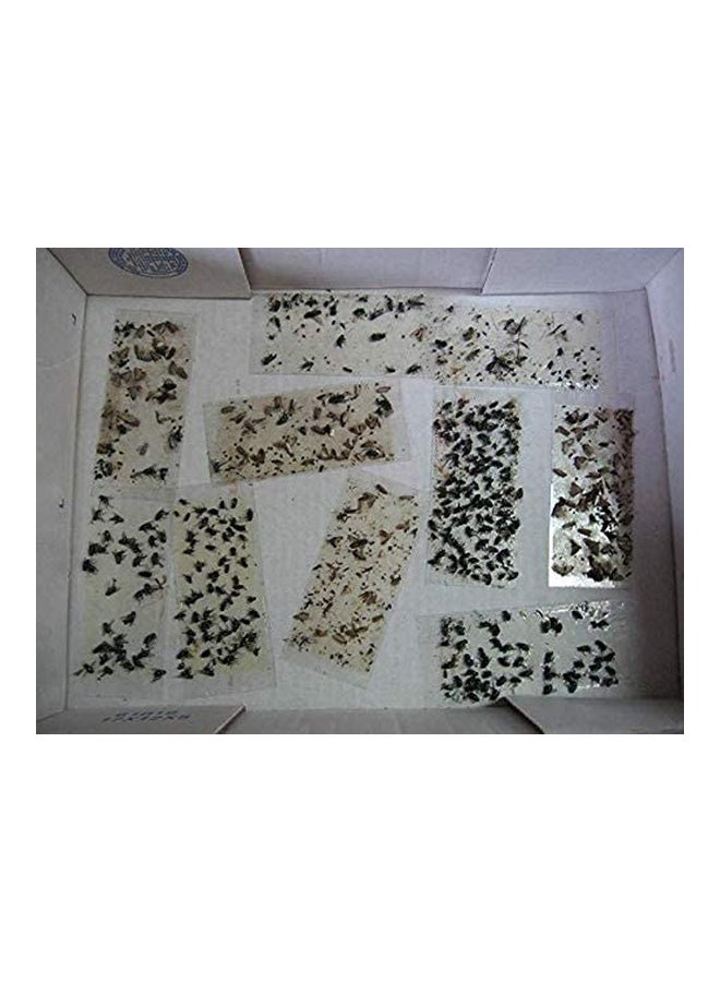 ماركة غير محددة مجموعة مكونة من 10 مصائد لاصقة متعدد الألوان 20x16Ø³Ù†ØªÙŠÙ…ØªØ±  - Image 3
