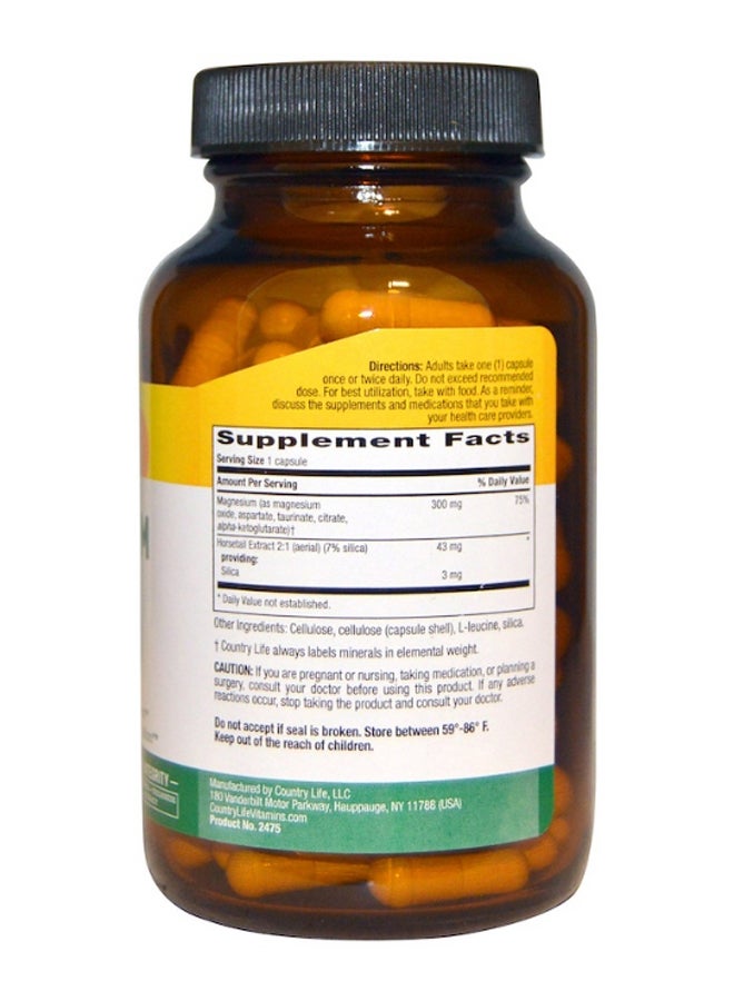 كانتري لايف كبسولات المغنيسيوم مع السيليكا من تارجت ماينز - 120 كبسولة . - Image 2