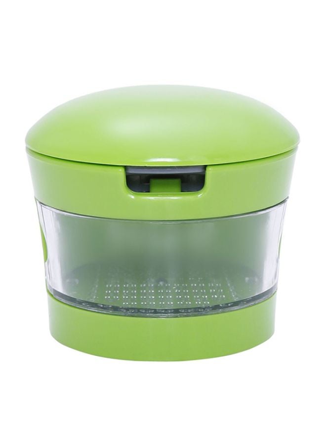 Goldedge Garlic Press Chopper Green/Clear 24x9x2centimeter