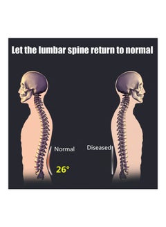 Generic Chiropractor Back Massager  - Image 2