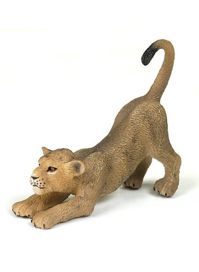 CollectA Lino Cub Miniature Animal Figure Toy 11x3x2inch - Image 2