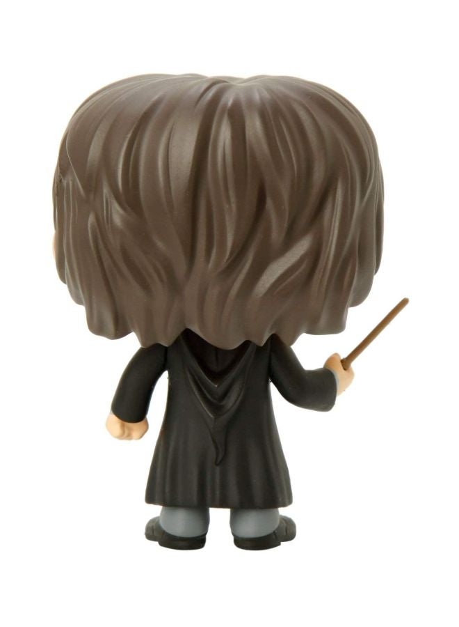 POP! Harry Potter Bobblehead H00005555 3.75inch - v1589820041/N37820428A_2