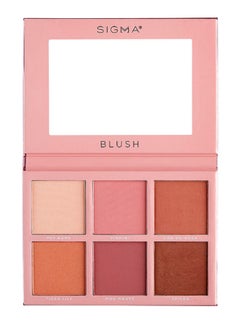 Blush Cheek Palette Multicolour