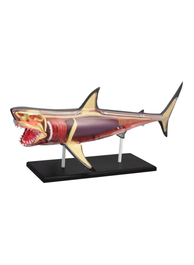 ديسكفري مجموعة تشريح سمك القرش 4D 14.96x10.98x3.23سم - Image 1