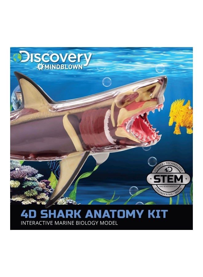 ديسكفري مجموعة تشريح سمك القرش 4D 14.96x10.98x3.23سم - Image 3