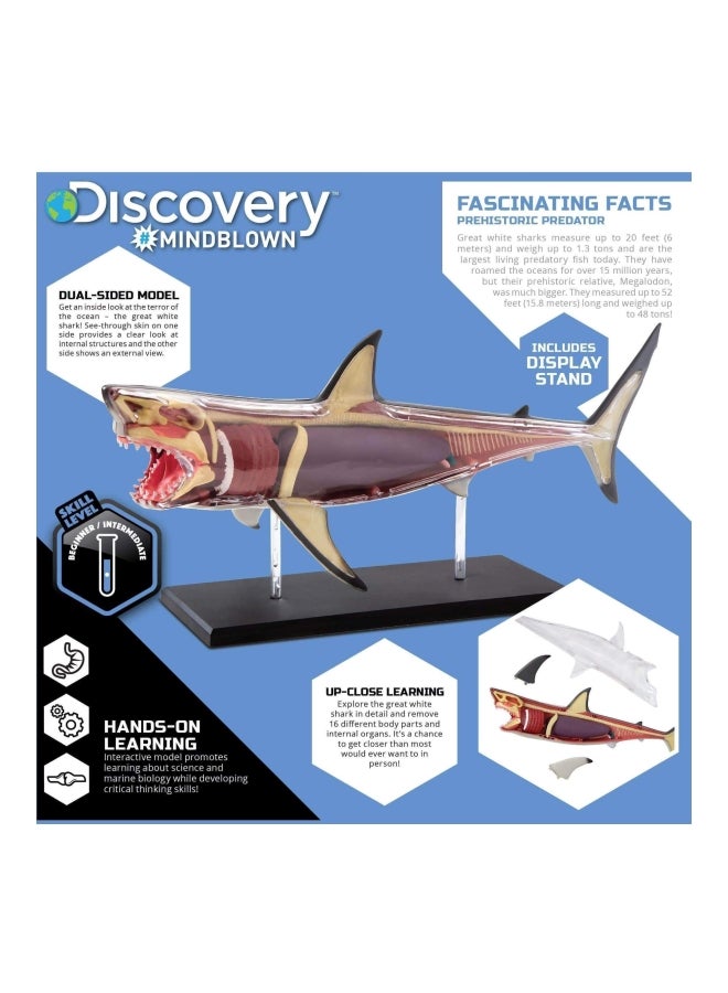 ديسكفري مجموعة تشريح سمك القرش 4D 14.96x10.98x3.23سم - Image 2