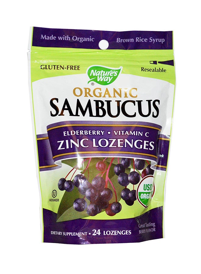 Nature's Way Organic Sambucus Vitamin C - 24 Lozenges