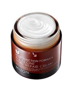 MIZON All In One Snail Repair Cream 75ml  - Image 3