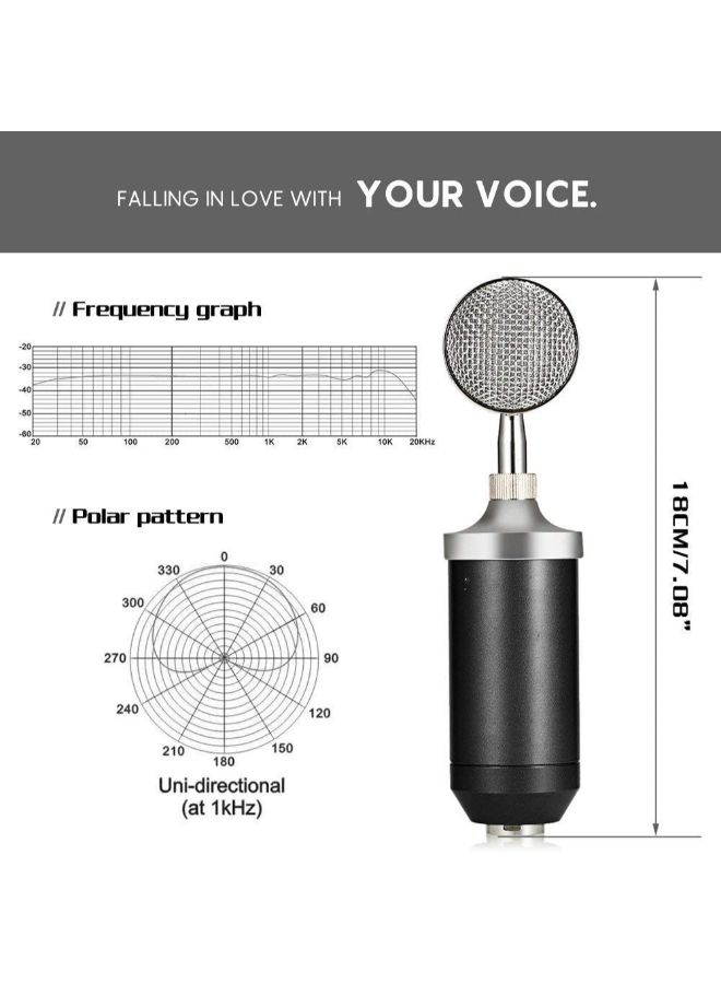 MIKE Professional Studio Condenser Microphone Set For Recording - Image 4