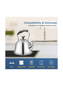 HTH Stainless Steel Teapot Silver/Black 2Liters  - Image 2
