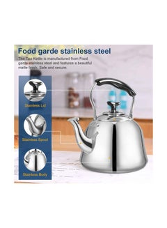 HTH Stainless Steel Teapot Silver/Black 2Liters  - Image 3