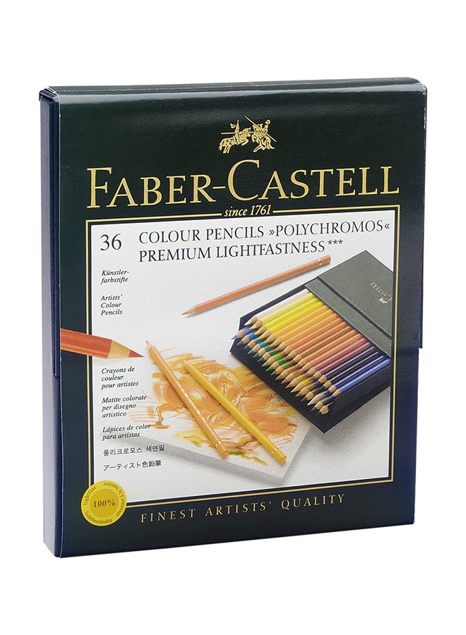 FABER-CASTELL 36-Piece Polychromos Colored Pencil Set Multicolour