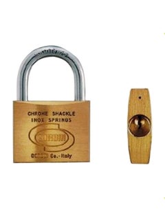 Generic Padlock Gold/Silver 