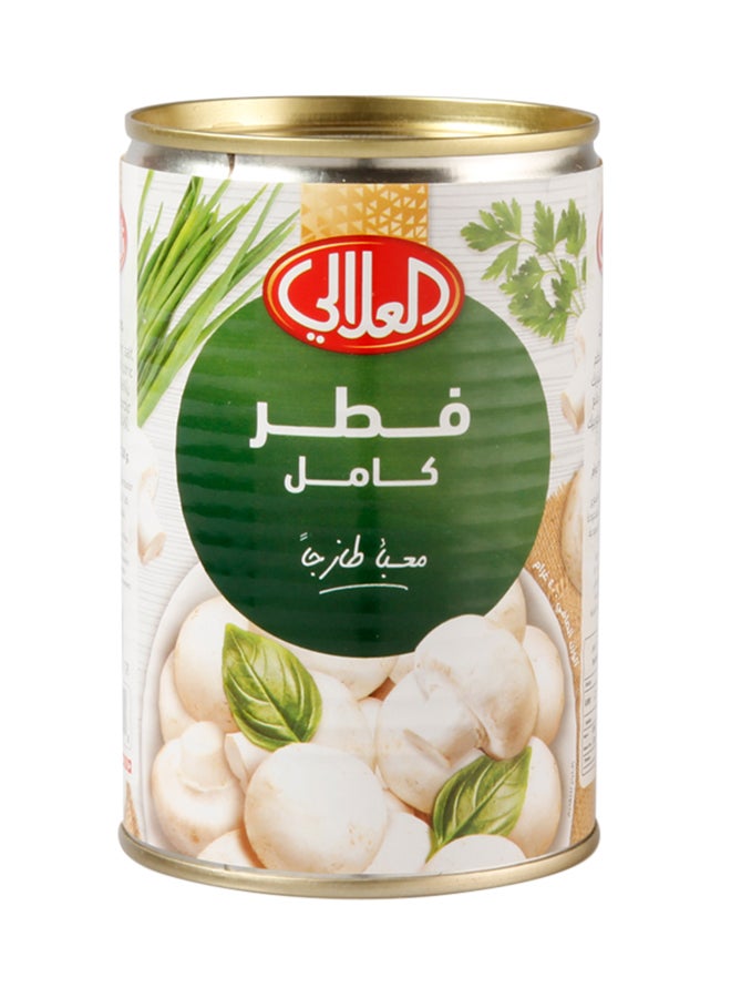 العلالي - علبة فطر كامل 400جرام - Image 1