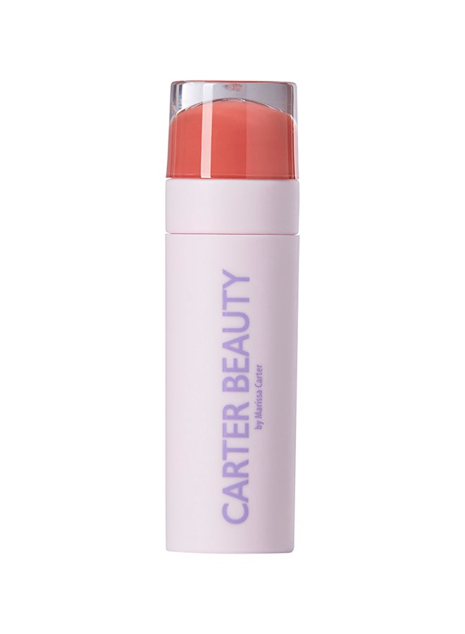 Carter Beauty Word of Mouth Velvet Matte Diana - Image 1