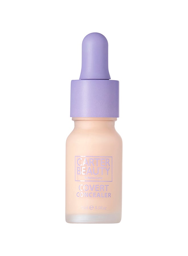 Carter Beauty Covert Concealer Meringue 