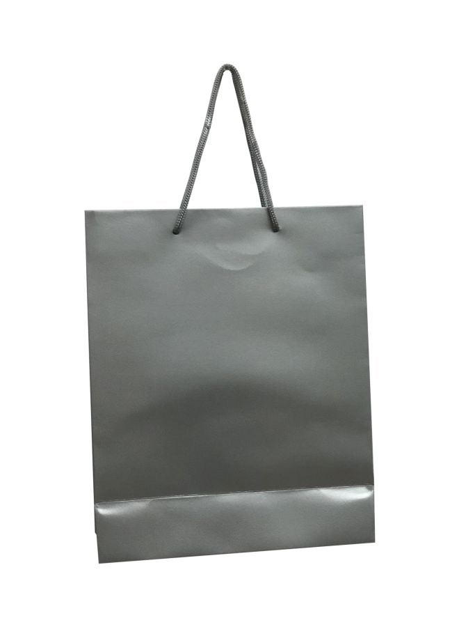 Pack Of 12 Paper Gift Bag Silver