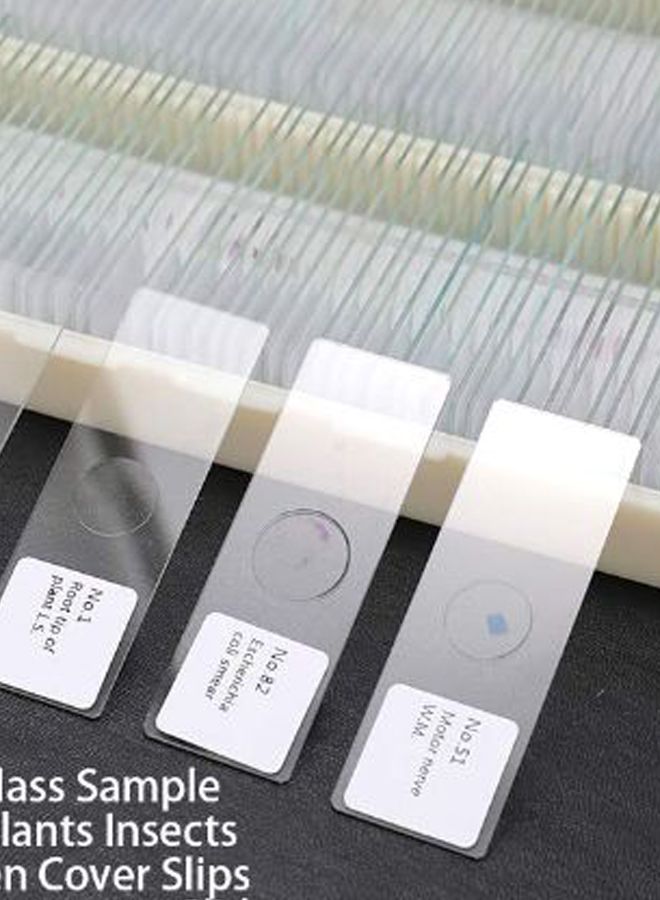 100-Piece Portable Biological Glass Sample Microscope Slides Set Clear  - Image 2