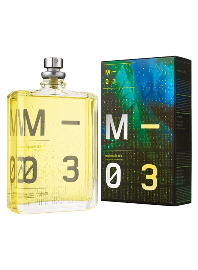 ESCENTRIC MOLECULES Molecule 03 Parfum 100ml 