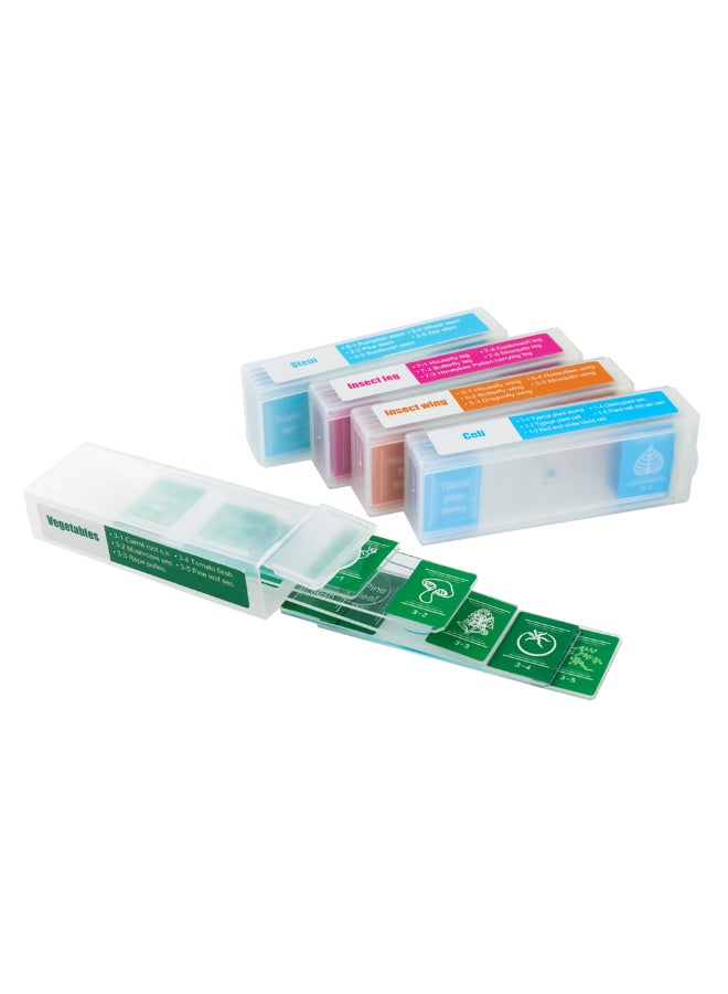 Generic 35-Piece Specimens Biological Microscope Slides Set Multicolour - Image 2