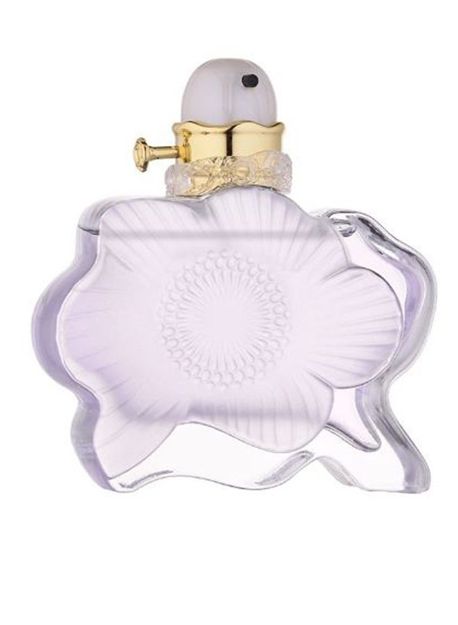 درعه زيت عطري فروليك 50ملليلتر - Image 1