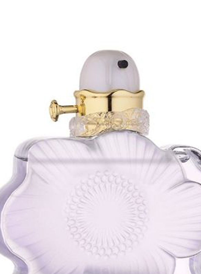 درعه زيت عطري فروليك 50ملليلتر - Image 2