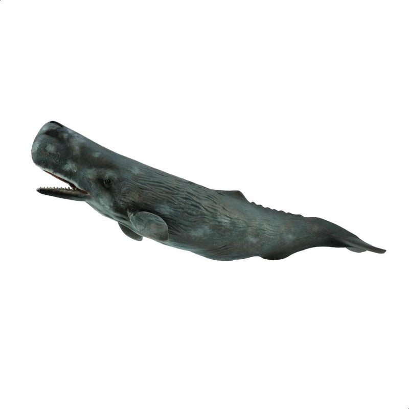 CollectA Sperm Whale Miniature Animal Figure 88835 - Image 2