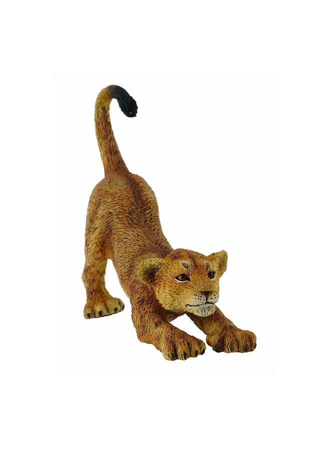 CollectA Lino Cub Miniature Animal Figure Toy 11x3x2inch - Image 1