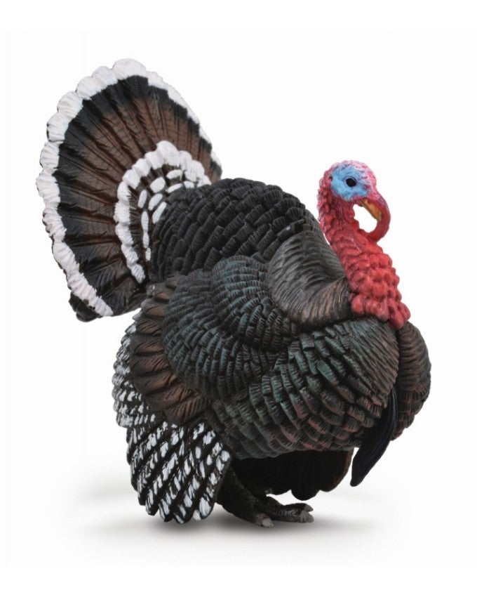 CollectA Turkey Animal Figure  - Image 2