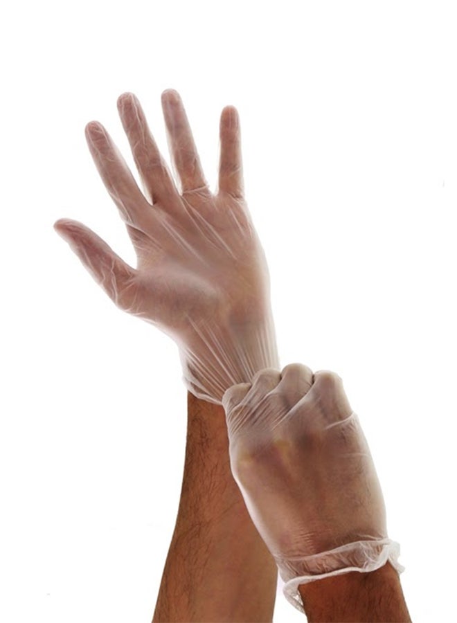100-Piece Disposable Vinyl Powder Free Gloves XL - Image 2