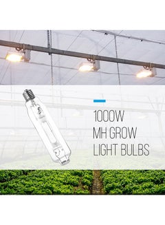 Vegetative Grow Halide Bulb Transparent - v1591696577/N38538857A_2