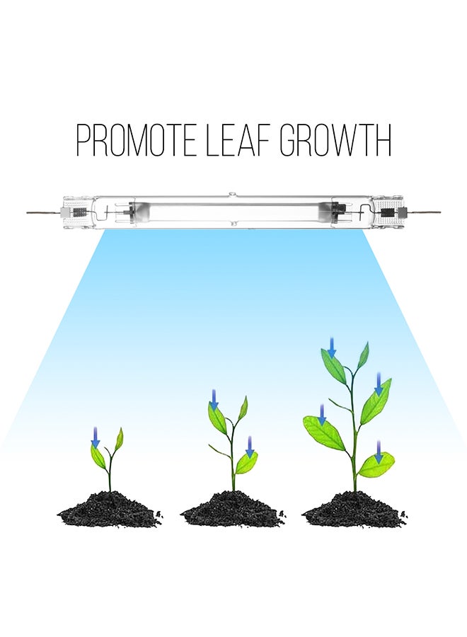 Generic Vegetative Double-ended Bulb Transparent  - Image 5