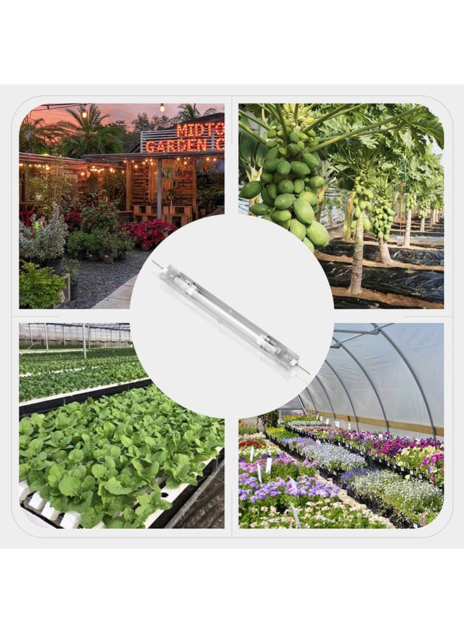 Generic Vegetative Double-ended Bulb Transparent  - Image 4