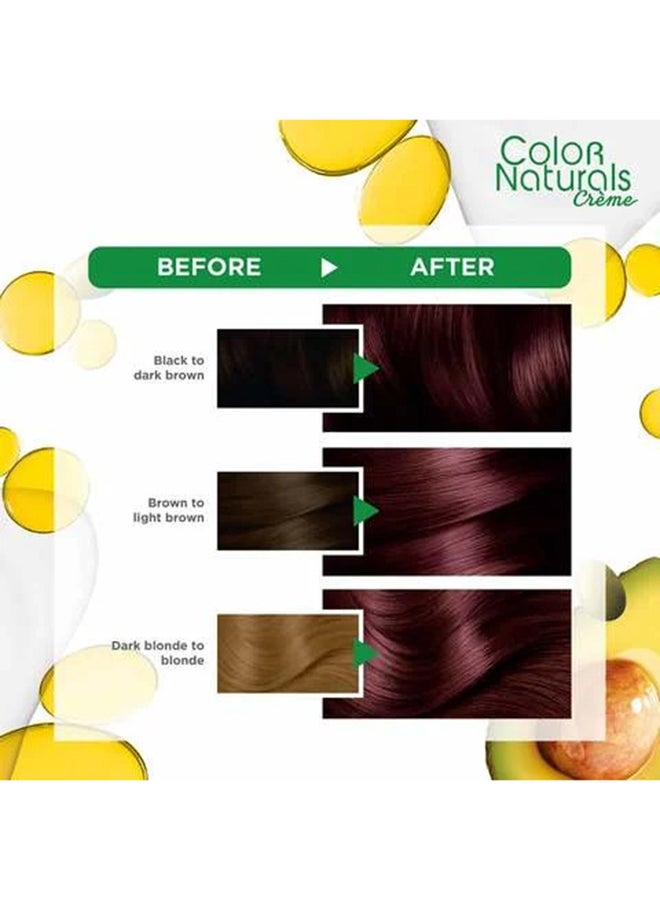 Color Naturals Permament Hair Color Cream 4.6 Burgundy 