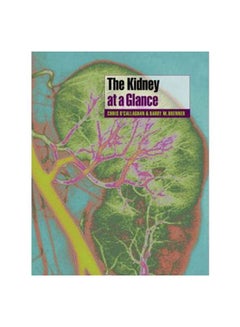 The Kidney at a Glance Paperback English by O'Callaghan, Chris