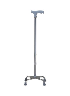 Walking Cane