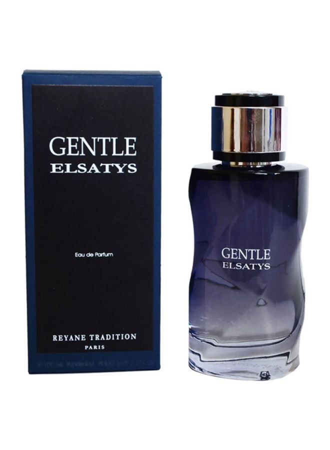 Reyane Tradition - Gentle Elsatys EDP 100ml - Image 1