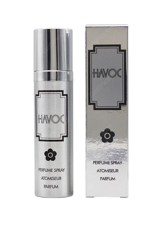 هافوك عطر سيلفر 75ملليلتر - Image 2