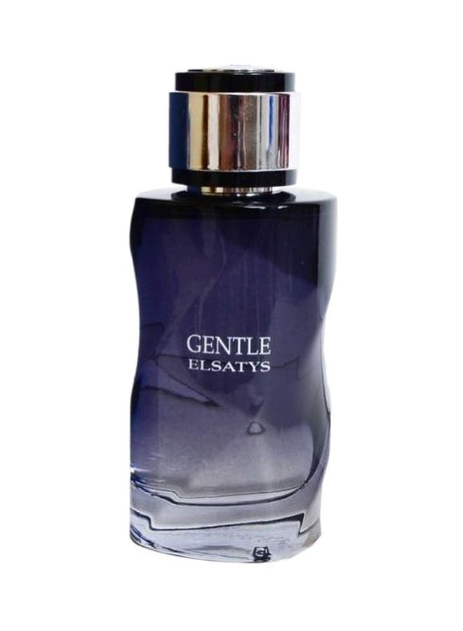 Reyane Tradition Gentel Elsatys EDP 100ml - Image 1
