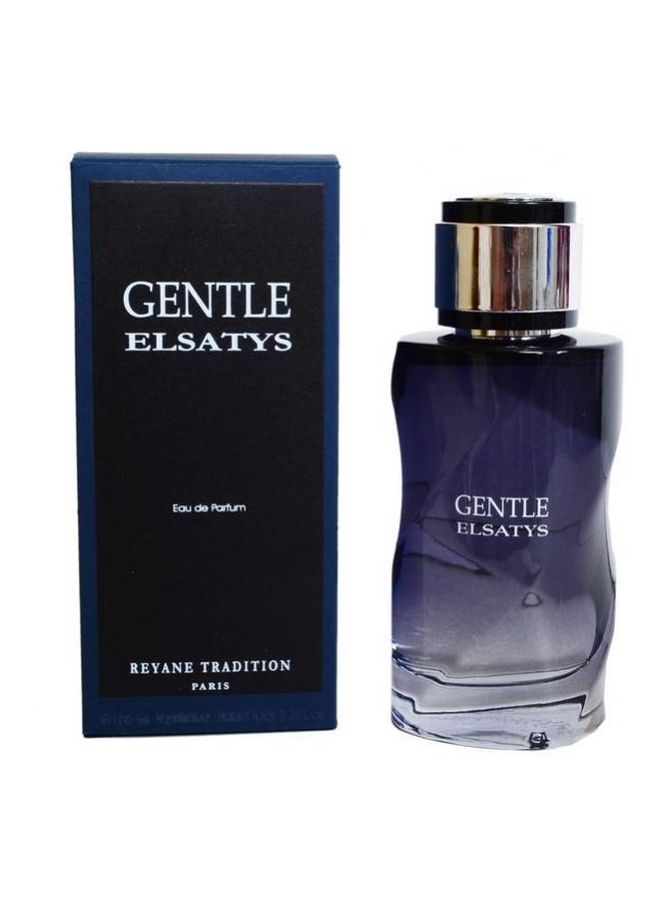 Reyane Tradition Gentel Elsatys EDP 100ml - Image 2