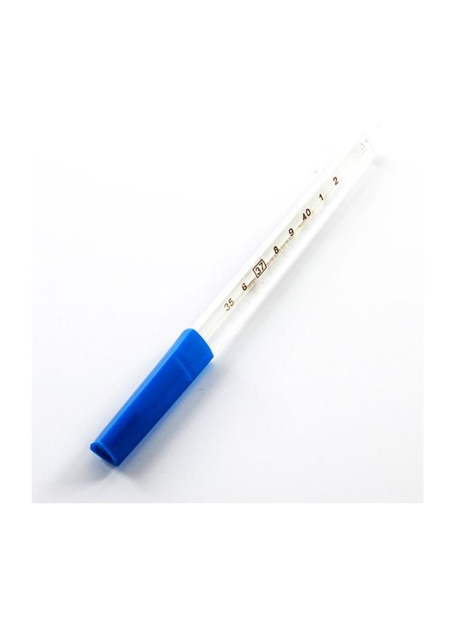 Generic - Classic Glass Mercury Thermometer - Image 1