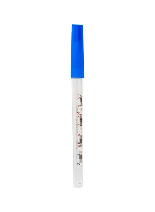 Generic - Classic Glass Mercury Thermometer - Image 1