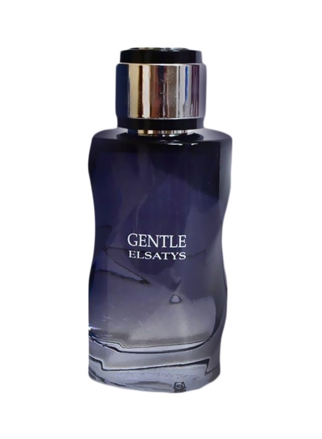 Reyane Tradition Gentle Elisates EDP 100ml - Image 1