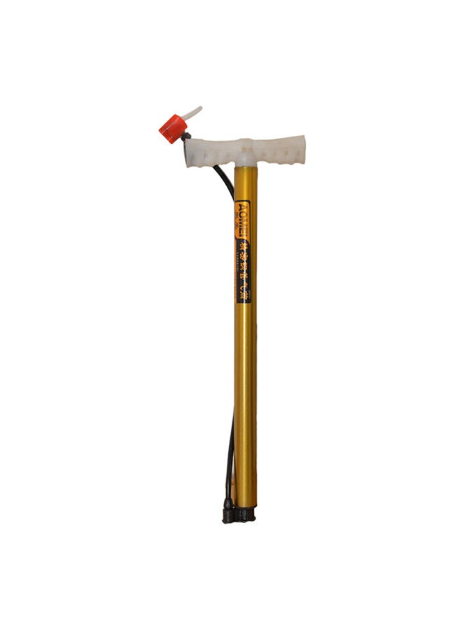 Pump For Bicycle And Ball 75cm