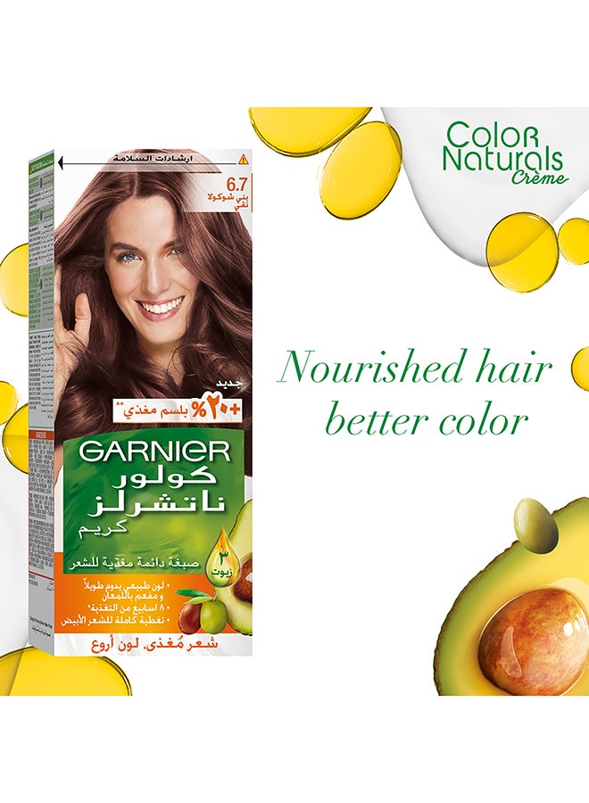Garnier Color Naturals Permanent Hair Color 6.7 Pure Chocolate Brown  - Image 1