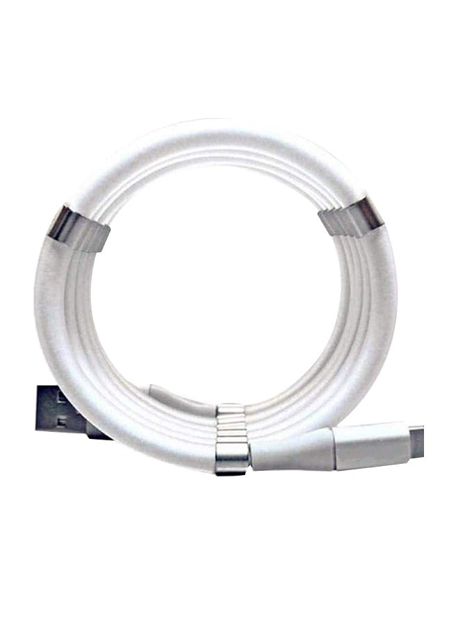 Magnetic Absorption Nano Data Cable White - Image 1