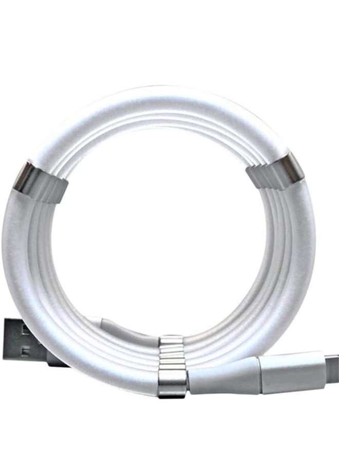 Magnetic Absorption Nano Data Cable White - Image 2