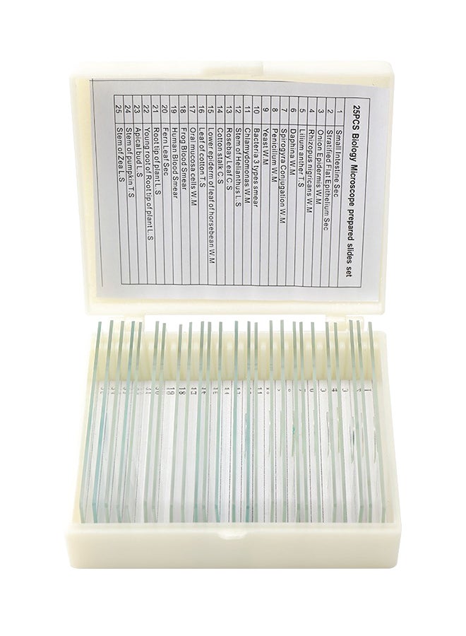 25-Piece Biological Prepared Slide Set Clear 10cm - Image 1