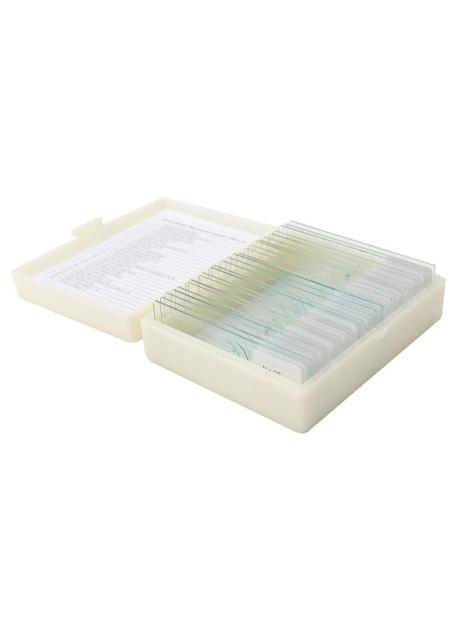 25-Piece Biological Prepared Slide Set Clear 10cm - Image 2