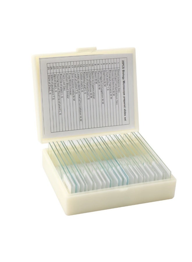 25-Piece Biological Prepared Slide Set Clear 10cm - Image 3